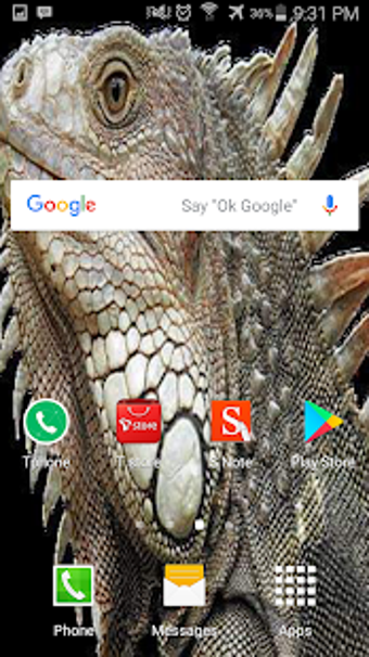 Image 0 for Iguana Walpaper HD