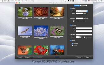 Imagen 4 para Photo Converter