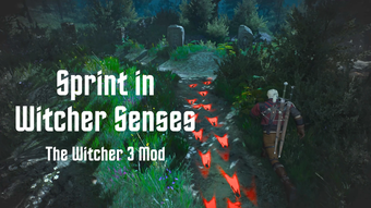Image 0 for Sprint in Witcher Senses …