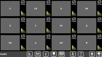 Image 1 for Continuous Pads (Worship …