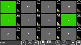 Image 2 for Continuous Pads (Worship …