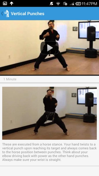 Imagen 2 para Shadowboxing Punches & Co…