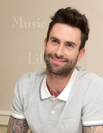 Image 0 for Adam Levine - Offline Mus…