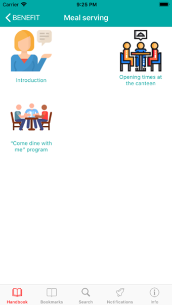 Image 2 for Handbook in english