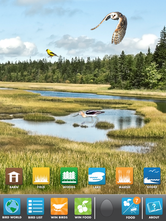 Image 1 for My Bird World HD Lite