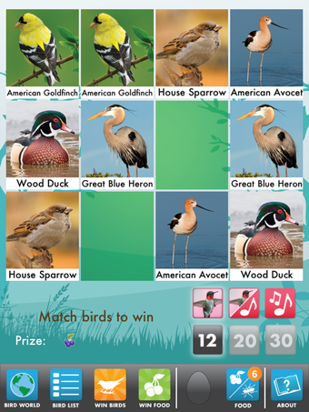 Image 2 for My Bird World HD Lite