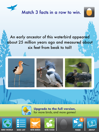 Image 3 for My Bird World HD Lite