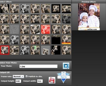 Imagen 0 para Free GIF Effect Maker