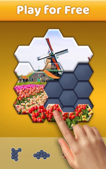 Imagen 1 para Hexa Jigsaw Puzzle