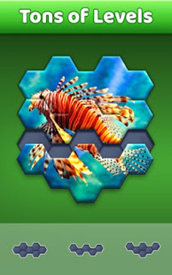 Imagen 2 para Hexa Jigsaw Puzzle