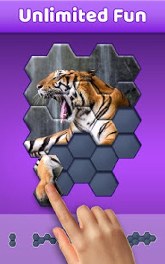 Image 0 for Hexa Jigsaw Puzzle