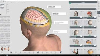 Image 0 for Complete Anatomy for Wind…