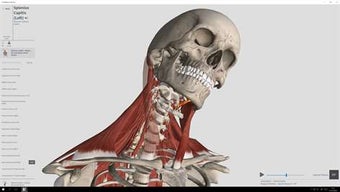 Image 3 for Complete Anatomy for Wind…