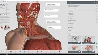 Image 1 for Complete Anatomy for Wind…