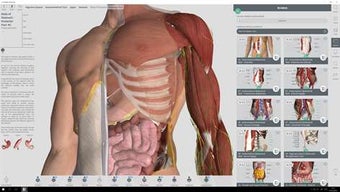 Image 2 for Complete Anatomy for Wind…