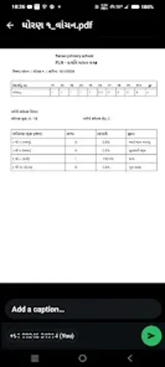Image 0 for FLN Report