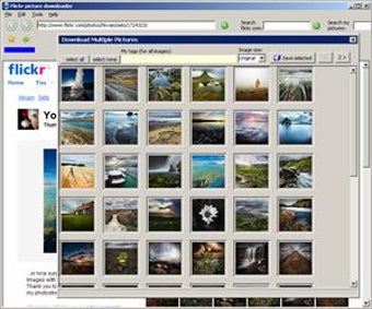 Image 1 for Flickr Downloader