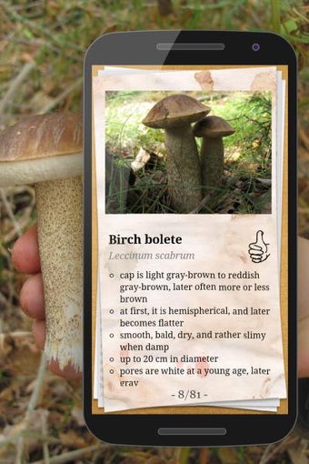 Imagen 0 para The Mushroom Book