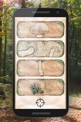 Image 3 for The Mushroom Book