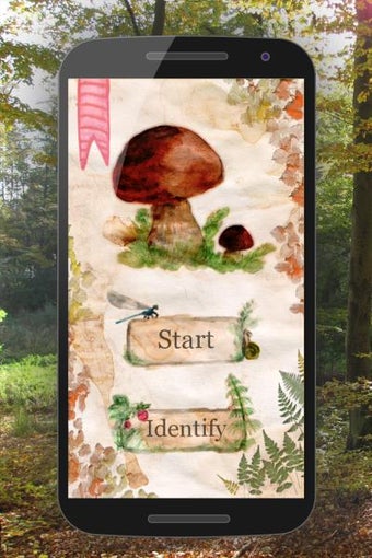 Image 0 for The Mushroom Book
