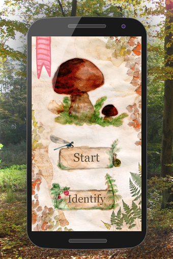 Image 0 for The Mushroom Book