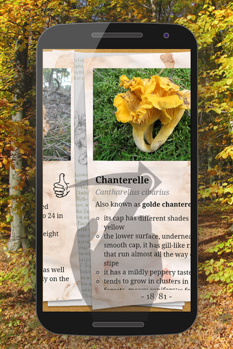 Image 2 for The Mushroom Book