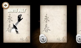 Imagen 0 para Kung fu Grandmaster