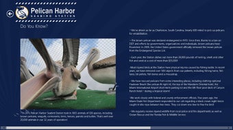 Imagen 0 para Pelican Harbor for Window…