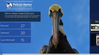 Imagen 1 para Pelican Harbor for Window…