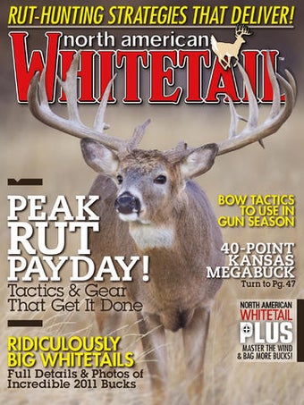 Image 0 for North American Whitetail