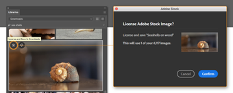 Image 4 for Adobe Illustrator CC