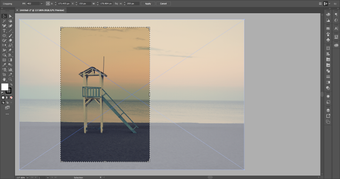 Image 5 for Adobe Illustrator CC