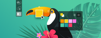 Image 7 for Adobe Illustrator CC