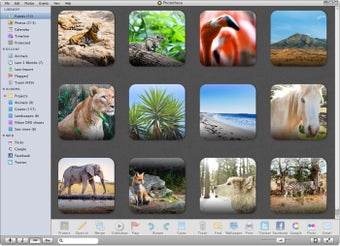 Imagen 2 para Phototheca for Windows 10