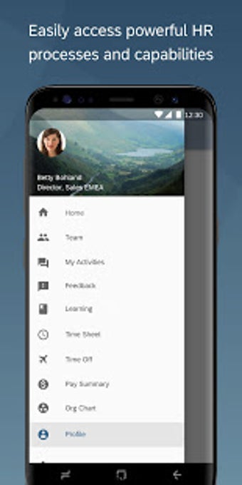 Image 1 for SuccessFactors