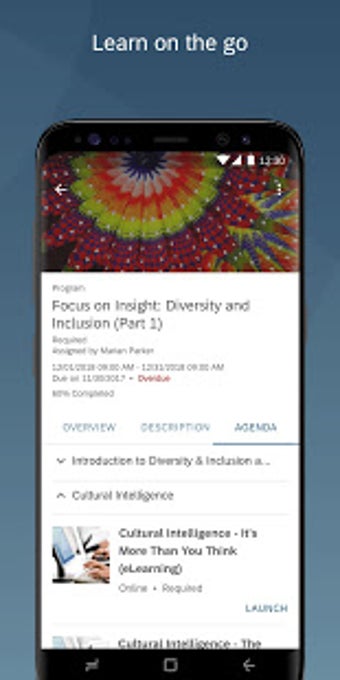 Image 0 for SuccessFactors