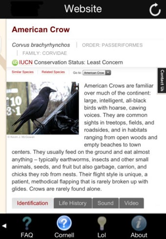 Image 0 for Scare-a-Crow