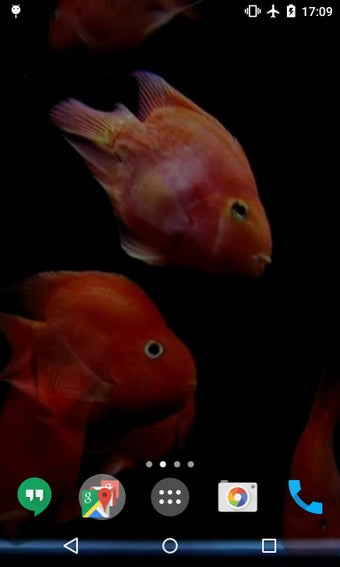 Image 0 for 3D Fishes Video Live Wall…
