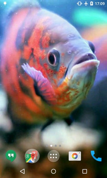 Image 3 for 3D Fishes Video Live Wall…