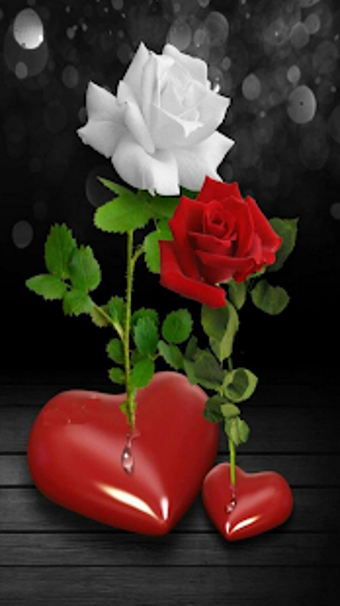 Imagen 1 para Roses and Flowers