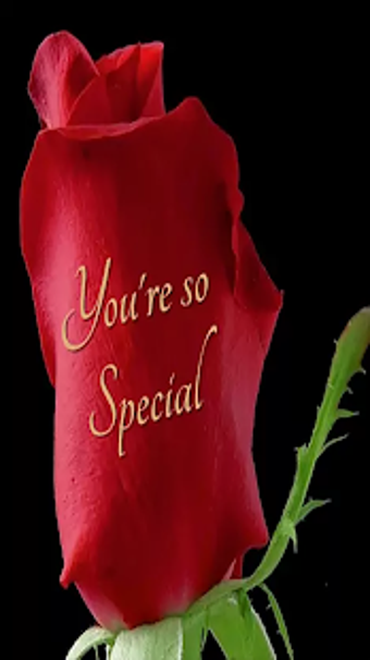Imagen 3 para Roses and Flowers