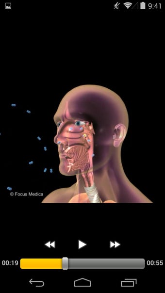 Imagen 1 para Respiratory Diseases - Di…