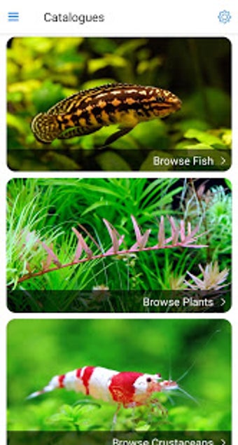 Image 2 for Aquareka - the freshwater…