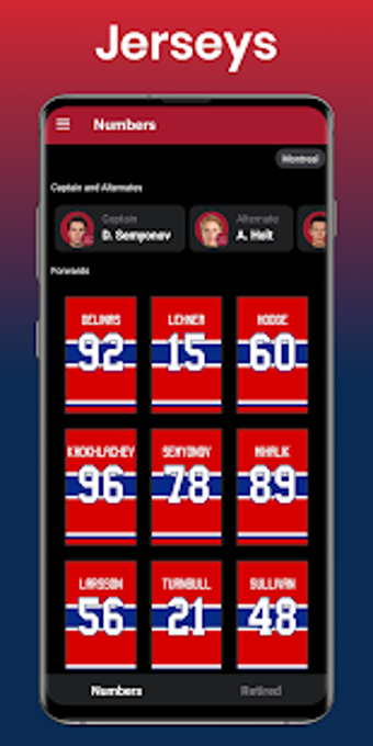 Image 0 for Hockey Legacy Manager 21 …