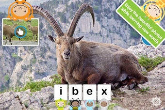 Image 4 for ABC Wildlife
