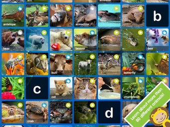 Image 5 for ABC Wildlife