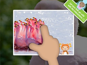 Image 0 for ABC Wildlife