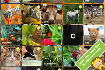 Image 6 for ABC Wildlife