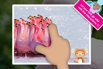 Image 2 for ABC Wildlife
