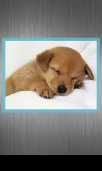 Image 0 for Nice Simple Photo Widget